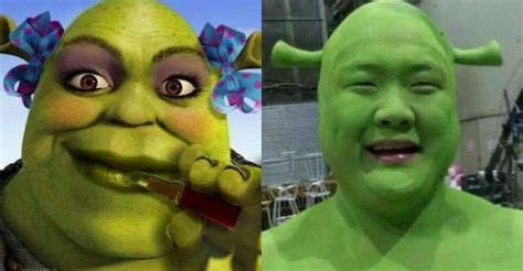 Funniest Shrek Images