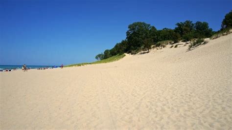 This thrift store is a great option when you are looking for killer deals. Pet Friendly National Park: Indiana Dunes | GoPetFriendly