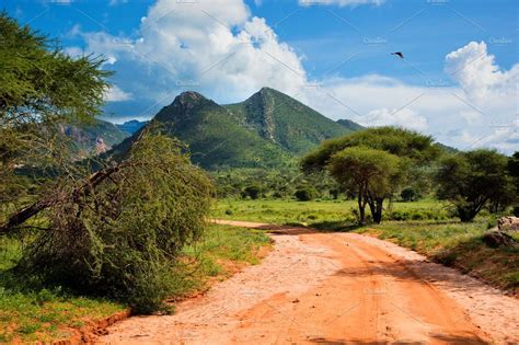 Savanna Landscape In Kenya Africa Featuring Africa Tsavo West And