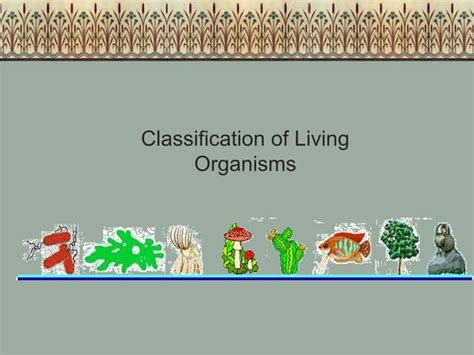 Classifying Living Things Ppt