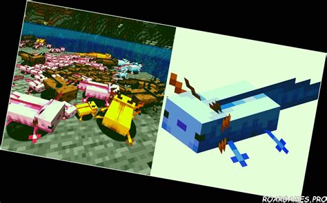 ️ Cómo Obtener El Raro Ajolote Azul En Minecraft Revisado Y Actualizado
