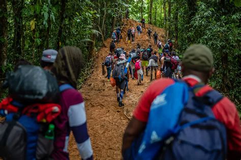 7 de cada 10 migrantes que cruzan la selva del Darién son venezolanos