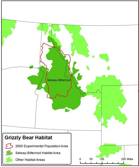 Petition Filed To Reintroduce Grizzly Bears To Selway Bitterroot Of