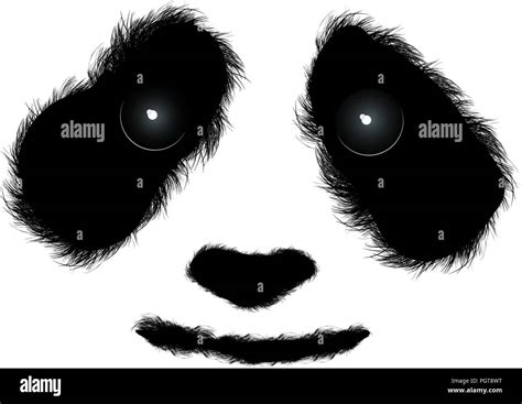 Flauschigen Panda Gesicht Isoliert Stock Vektorgrafik Alamy