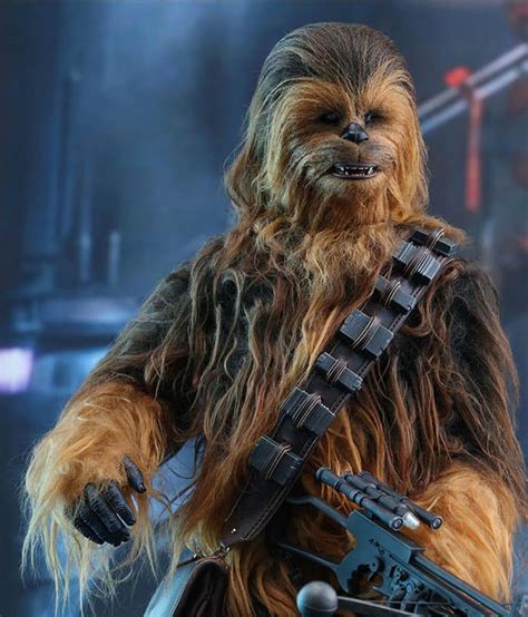 Star Wars Chewbacca Sixth Scale Figur Sideshow Hot Toys Ebay