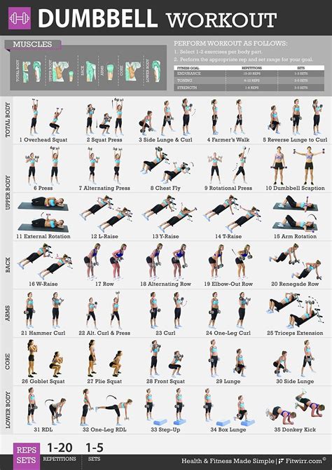 Dumbbell Workout Chart Exercise Poster Etsy Ejercicios Musculacion