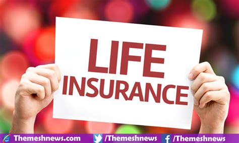 Affordable Life Insurance Quotes Online 19 Quotesbae