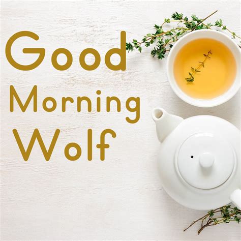 50 Best Good Morning ☀️ Images For Wolf Instant Download