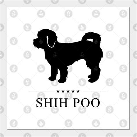 Shih Poo Black Silhouette Shih Poo Posters And Art Prints Teepublic