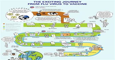 The Exciting Journey From Flu Virus To Vaccine Infographic Infographics