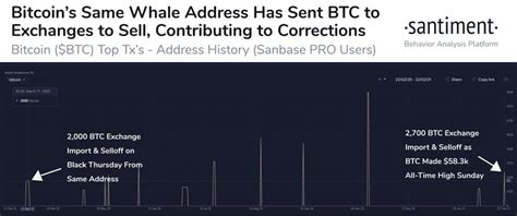 Bitcoin hash rate's effect on transactions. Bitcoin Whale behind 2020 black Thursday linked to recent ...
