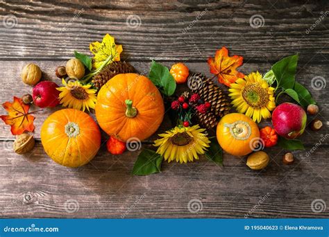 thanksgiving table pumpkins sunflowers apples and fallen leaves stock image image of menu