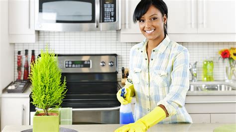 Working Moms Guide To A Squeaky Clean House