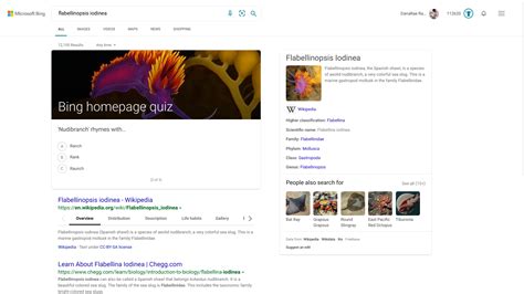 Bing Quiz Today Take The Bing Homepage Quiz Challenge Most Visited
