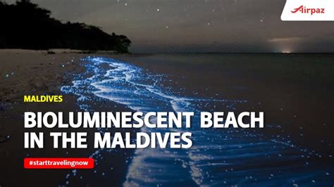 Bioluminescent Beach Phenomenon In The Maldives Youtube