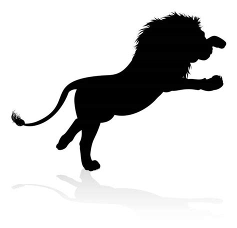Male Lion Roaring Illustrations Royalty Free Vector Graphics And Clip