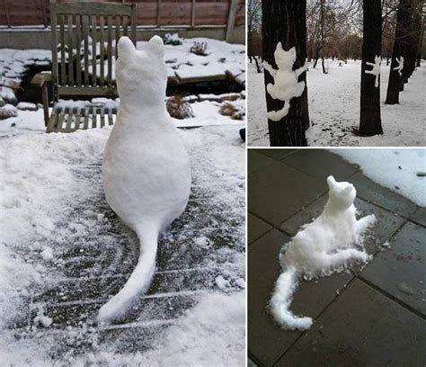 Diy Funny Snow Cat Pictures Photos And Images For Facebook Tumblr