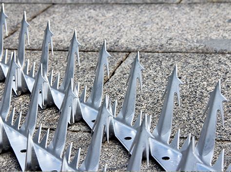 Home Home Furniture And Diy Other Home Security Wall Spike Fence Spike