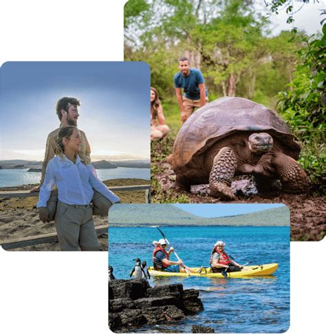 What to See in Galapagos Islands | Metropolitan Touring