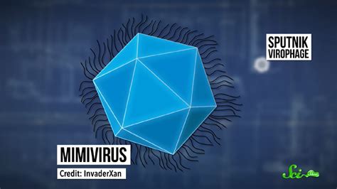 Find out more on sputnik international. Sputnik - con virus gây sốc cho toàn bộ giới nghiên cứu khoa học bằng cách kí sinh lên…một virus ...