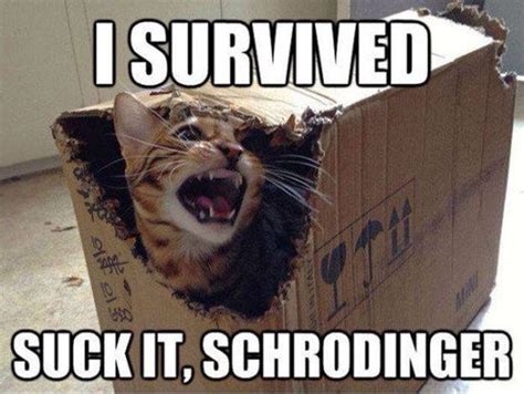 Schrodinger Schrodingers Cat Funny Pictures Nerd Humor