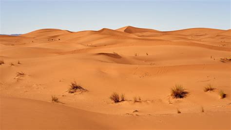 Download Wallpaper 3840x2160 Sand Desert Dunes Grass 4k Uhd 169 Hd