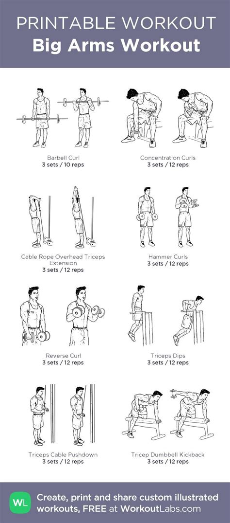 View Arms Workout Routine Printable Pics Best Arm And Chest Workout