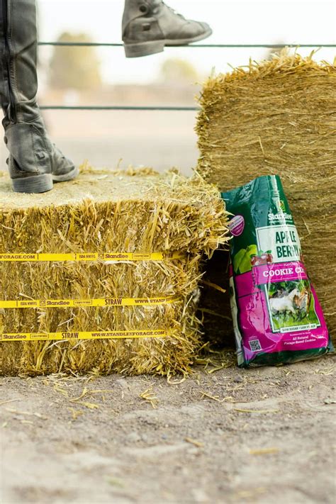What Is The Difference Between Hay Straw And Premium Forage