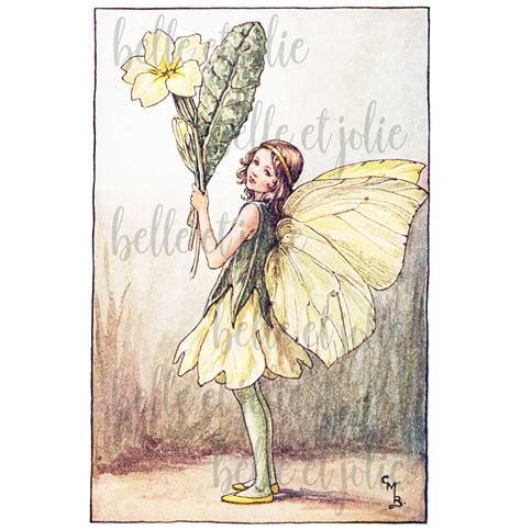 Primrose Spring Fairy Vintage Fairy Illustration Home Etsy