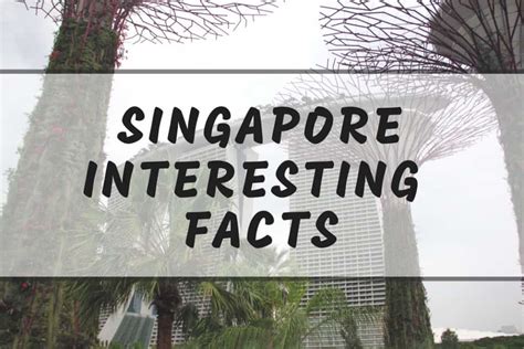Interesting Singapore Facts 10 Fun Facts You Didnt Know About