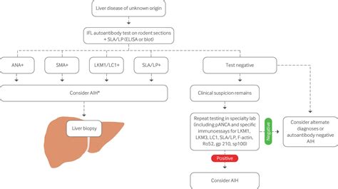 Diagnosis And Management Of Autoimmune Hepatitis The Bmj