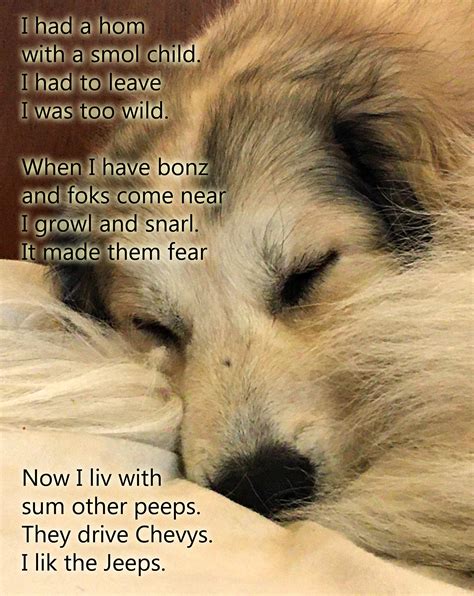 Check spelling or type a new query. Poem for My New Foster Dog : ilikthebred