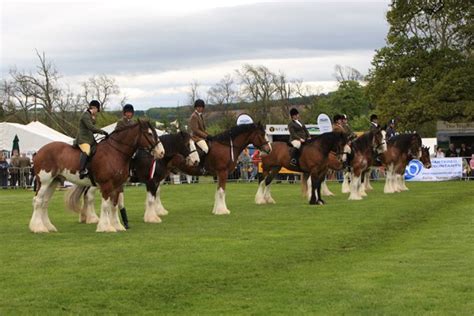 Fife Show The First 200 Years Cupar Now