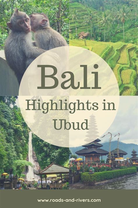 Ubud Tipps And Ausflüge Bali Reise Ubud Bali Urlaub