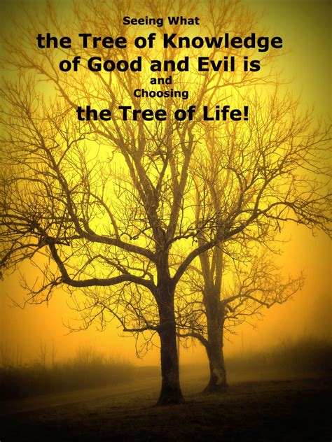 If you work for years on this tree, if you study it, if you taste its fruit, you will create stability within yourself and harmony in the cosmos. Seeing What the Tree of Knowledge of Good and Evil is and ...