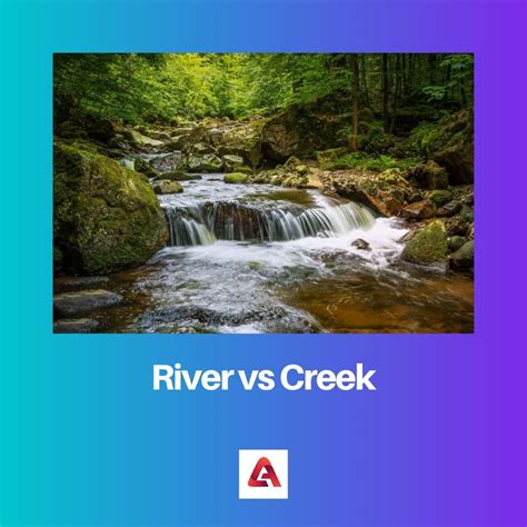 River Vs Creek Difference And Comparison