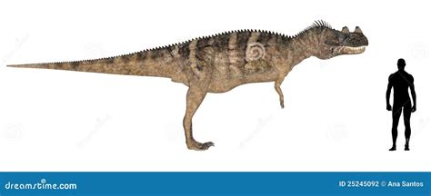 Carnivorous Dinosaur Size Comparison