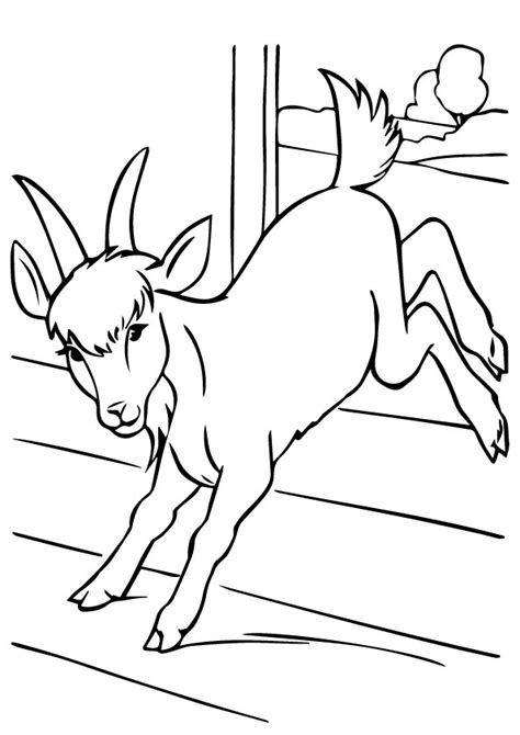 Select from 35919 printable coloring pages of cartoons, animals, nature, bible and many more. Free Printable Goat Coloring Pages, Goat Coloring Pictures ...