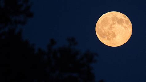 Cómo Afecta La Luna Llena Nuestro Cuerpo Y Nuestra Energía