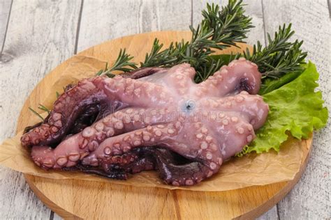 Raw Octopus Ready For Cooking Stock Image Image Of Color