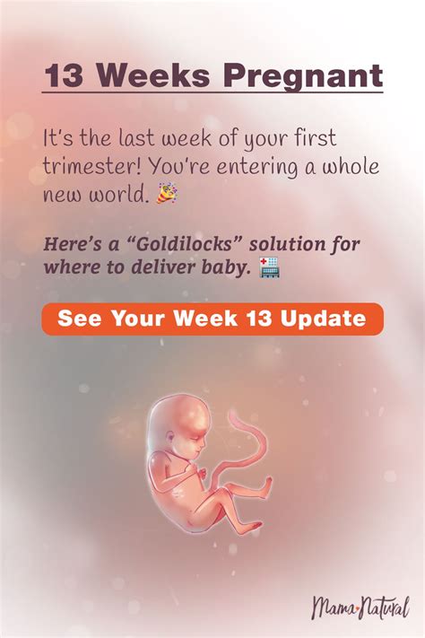 13 13 Weeks Pregnant Pregnancy Week By Week Pregnancy Guide