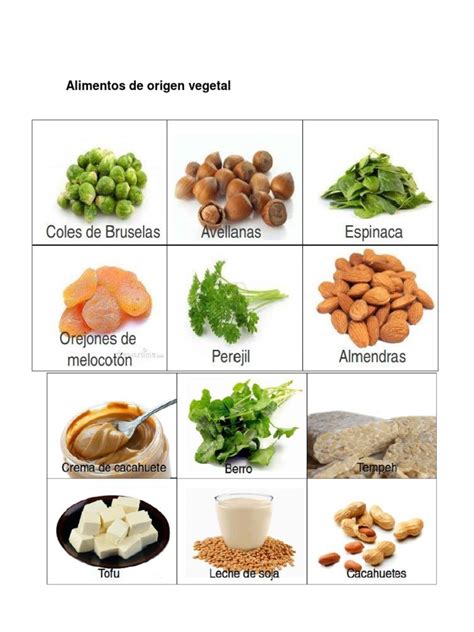 Alimentos De Origen Animal Y Vegetal