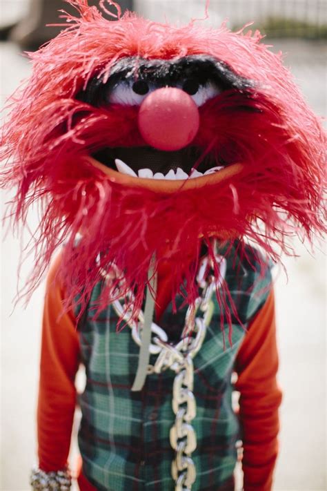 Costume — Portfolio Animal Muppet Character Halloween Costumes The