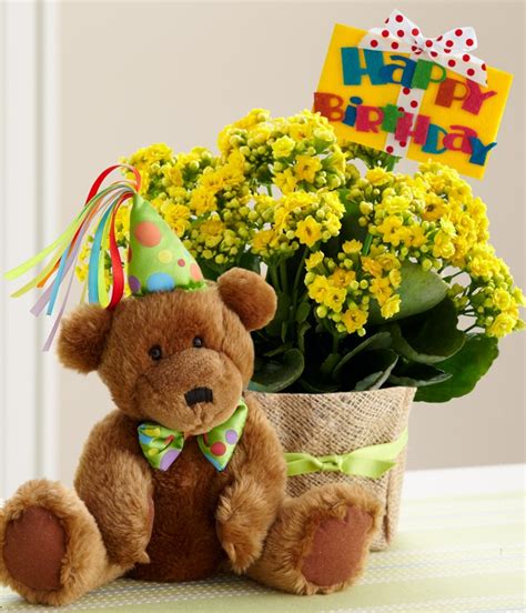 Flowers are a spectacular birthday gift; Birthday Flowers | Shane's Flower Market