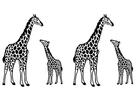 224 Mama And Baby Giraffe Svg SVG PNG EPS DXF File