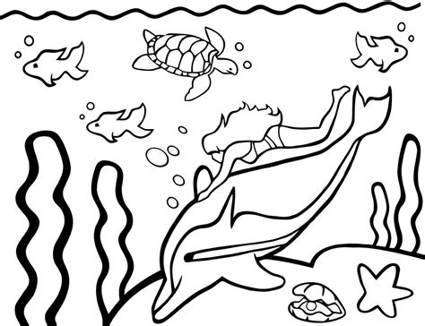 Sketsa Gambar Hewan Laut Berwarna Gambar Hewan
