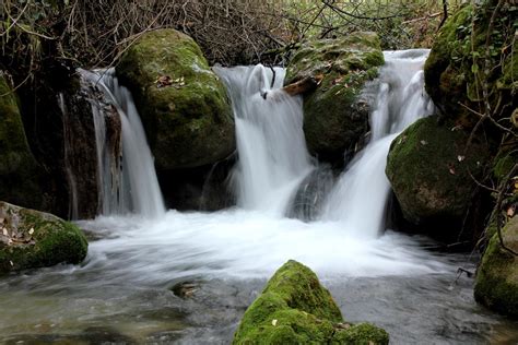Weitere ideen zu cadiz, spanien, andalusien. Gratis foto: Cadiz, Spanien, Natur, Skog, Vatten - Gratis ...