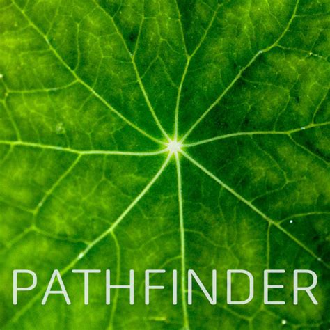 Pathfinder Sex Addiction And Intimacy Disorders Clean Start