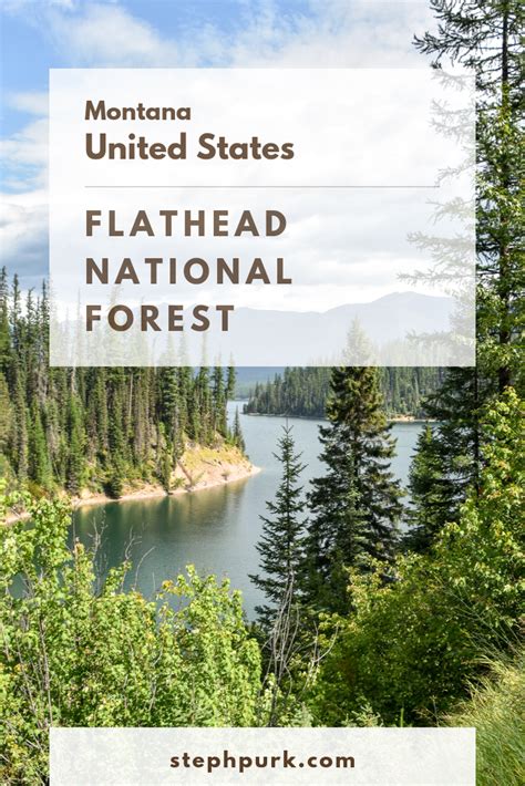 Flathead National Forest Artofit