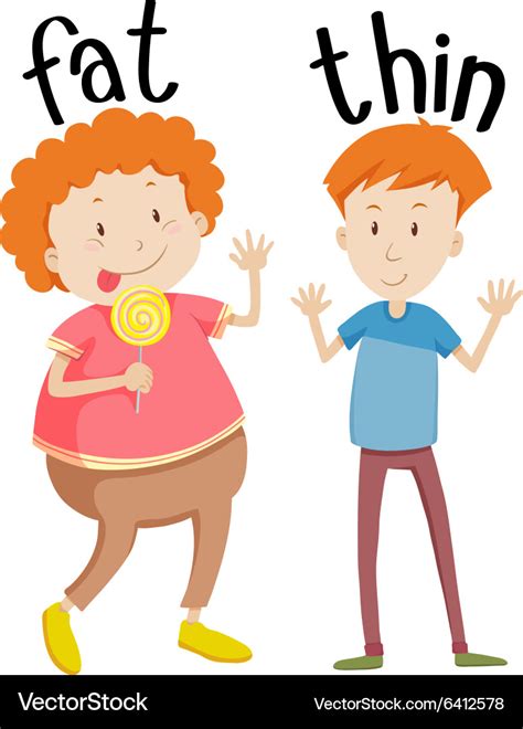 Opposite Adjectives Fat And Thin Royalty Free Vector Image